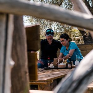 terraza bar-sombra de olivos