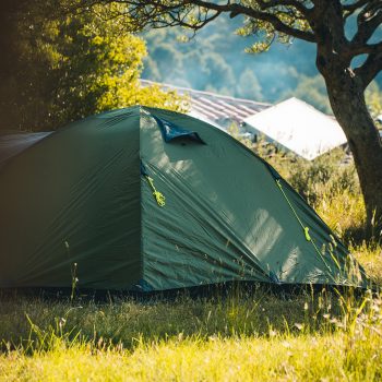tienda-acampada-salvaje-camping-armlaygal-olivos-naturaleza