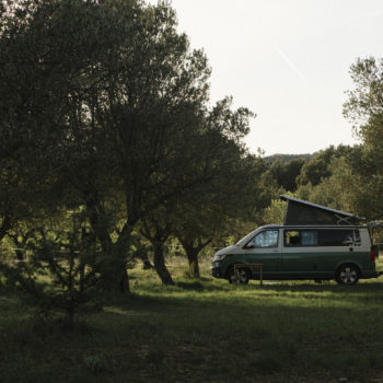 plots à l´ombre des oliviers. Camping Murillo de Gállego