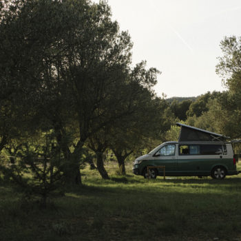 A la sombra de los olivos. Camping en Murillo de Gállego.